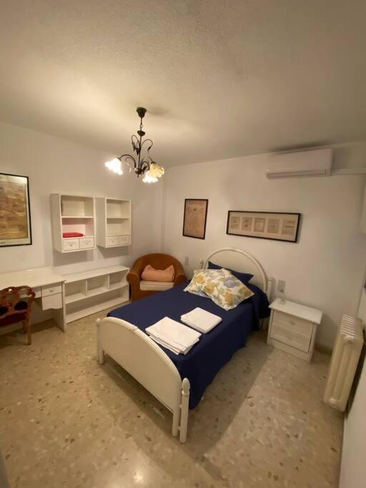 Piso En El Centro De Granada. Parking Opcional Apartment Ngoại thất bức ảnh